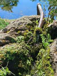 羊蹄山の麓に湧く、いつも変わらぬ清らかな名水🌿💧