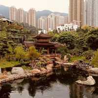 🌿✨ Escape to Tranquility: Discover Nan Lian Garden – Hong Kong’s Hidden Oasis! ✨🌿