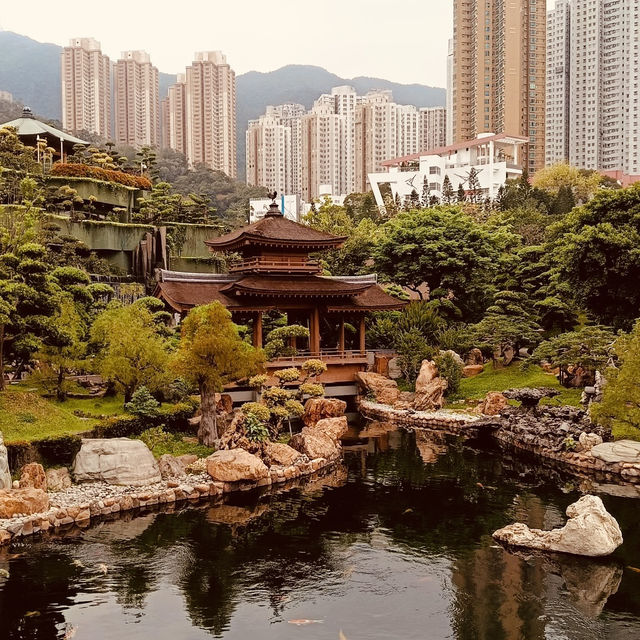 🌿✨ Escape to Tranquility: Discover Nan Lian Garden – Hong Kong’s Hidden Oasis! ✨🌿