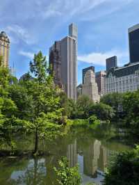 Nature Meets Skyline: Gapstow Bridge & The Pond in Central Park 🌉🍁🏙️ 