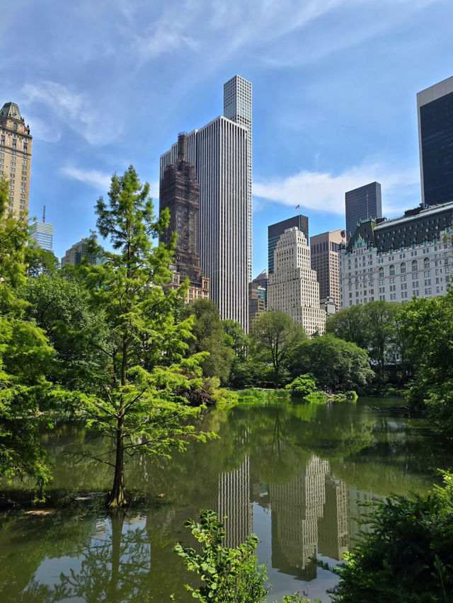 Nature Meets Skyline: Gapstow Bridge & The Pond in Central Park 🌉🍁🏙️ 