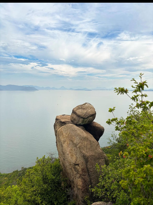 🌿【牛窓オリーブ園】“日本のエーゲ海”で過ごす、癒しと絶景のオリーブ旅