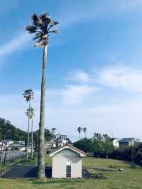 Sajimanooka Park - spacious green park 