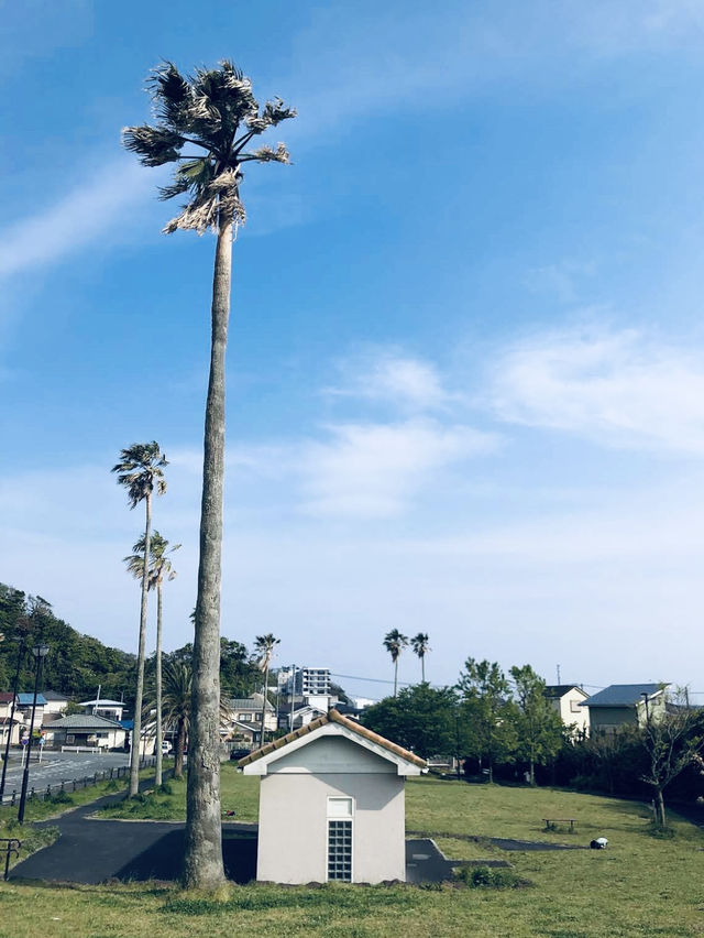 Sajimanooka Park - spacious green park 