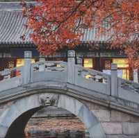 🍂 “Where the Red Leaves Whisper: An Autumn Stroll Through Xiangshan Park”
