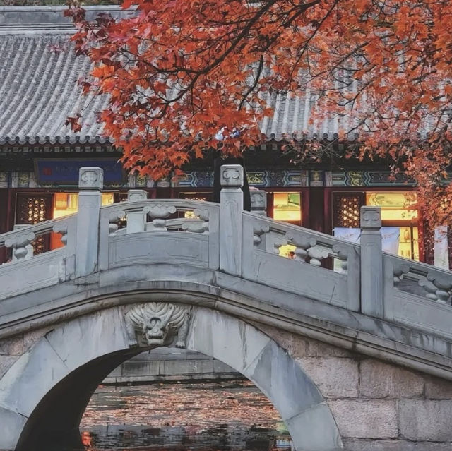 🍂 “Where the Red Leaves Whisper: An Autumn Stroll Through Xiangshan Park”