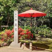 【東京/駒込🇯🇵】四季折々の幽玄なる美の世界✨六義園