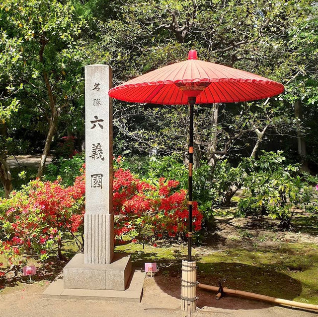【東京/駒込🇯🇵】四季折々の幽玄なる美の世界✨六義園