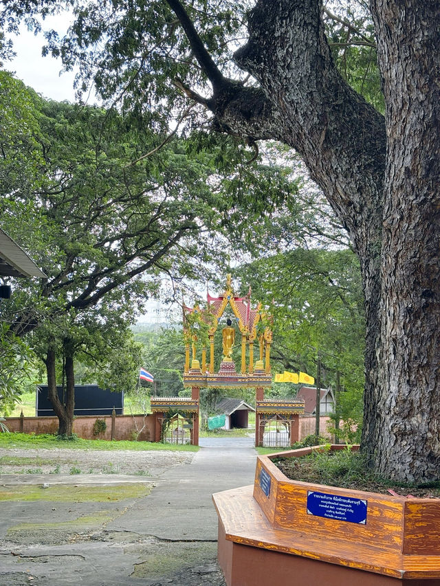 วัดเขาไม้แดง วัดสวยบนภูเขา ที่บางพระ ชลบุรี