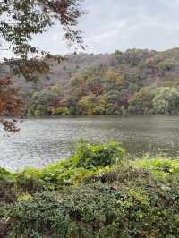 ๊ณ์ ์ด ๋ด๊ธด ์๋ฆ๋ค์ด ์ ์ & ํธ์๋ฏธ์ ๊ด & ๊ท์ฌ์ด ํ๋ค๋ฅผ ๋ณผ ์ ์๋ ์ฉ์ธ ์๋ฒ๋๋ ํ๋ค์๋