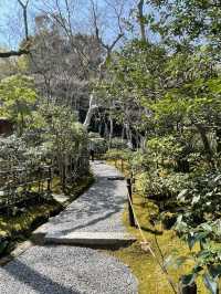 🇯🇵 Giōji Temple