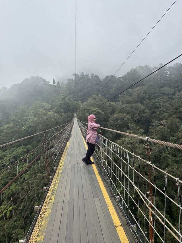 Thrill Walk: Rengganis Bridge Adventure