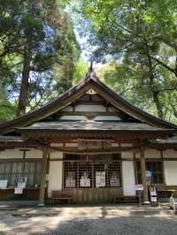 【宮崎・高千穂町】⛩️高千穂神社〜縁を結び心を結ぶ夫婦杉〜