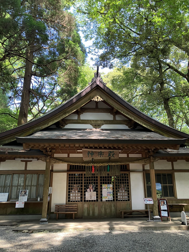 【宮崎・高千穂町】⛩️高千穂神社〜縁を結び心を結ぶ夫婦杉〜