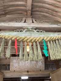 【弾丸‼︎】宮崎2日間の旅🏝️