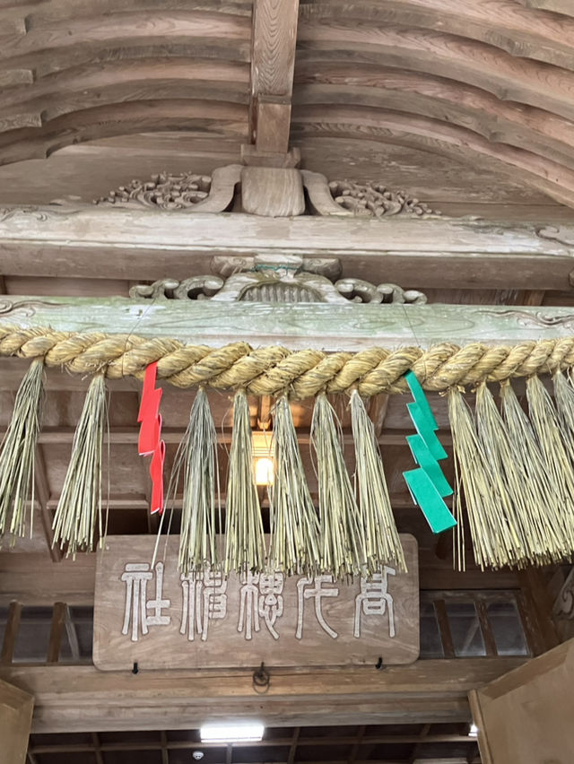 【弾丸‼︎】宮崎2日間の旅🏝️