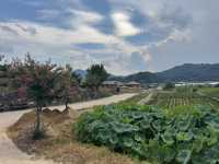 ์๊ฐ์ด ๋ฉ์ถ ๋ฏํ ํ์ฅ ๋ง์, ์ฑ์ฃผ ํ๊ฐ๋ง์