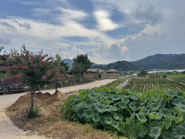 ์๊ฐ์ด ๋ฉ์ถ ๋ฏํ ํ์ฅ ๋ง์, ์ฑ์ฃผ ํ๊ฐ๋ง์ ์๊ฐ์ด ๋ฉ์ถ ๋ฏํ ํ์ฅ ๋ง์, ์ฑ์ฃผ ํ๊ฐ๋ง์