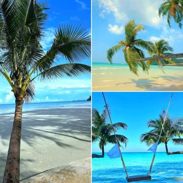 🏝 KHLOONG CHAO BEACH – Koh Kood's Hidden Paradise! 🌴 | Trip.com