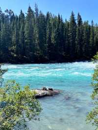 The Hidden Flow of Paradise: Inside Xinjiang’s Kanas River