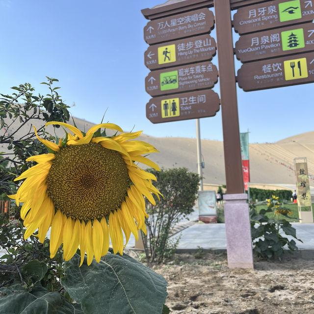 A Desert Park Like No Other 