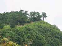 รับลมหนาว อุทยานแห่งชาติภูเรือ เลย
