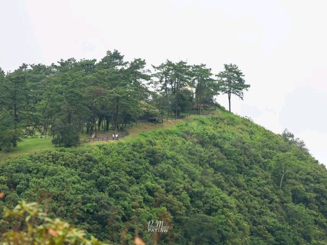 รับลมหนาว อุทยานแห่งชาติภูเรือ เลย