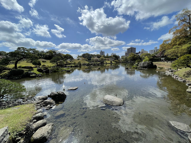 特種兵快閃熊本市區