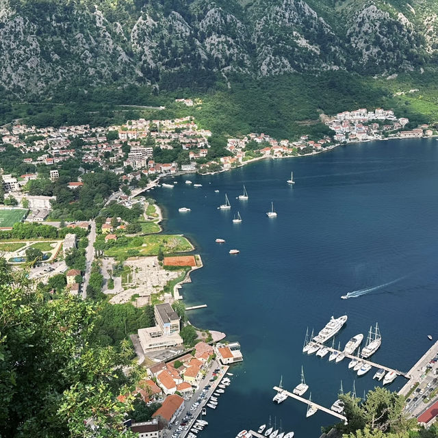 Dramatic Fjords & Medieval Charm – My Visit to Kotor, Montenegro on an MSC Cruise