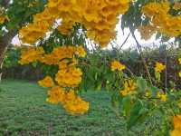 Thailand gateway - my favorite place Hatyai