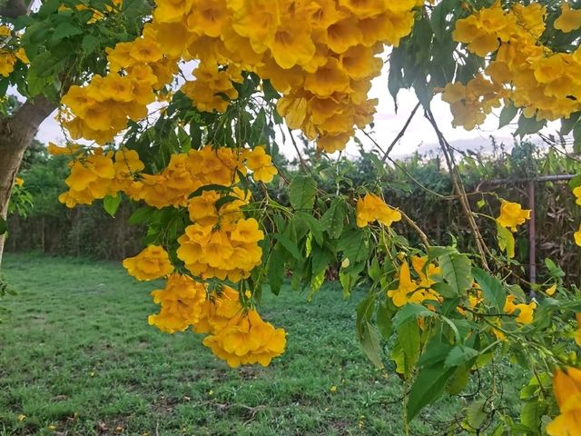 Thailand gateway - my favorite place Hatyai Thailand gateway - my favorite place Hatyai