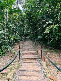 Walking Above the Trees at Forest Skywalk, Kepong