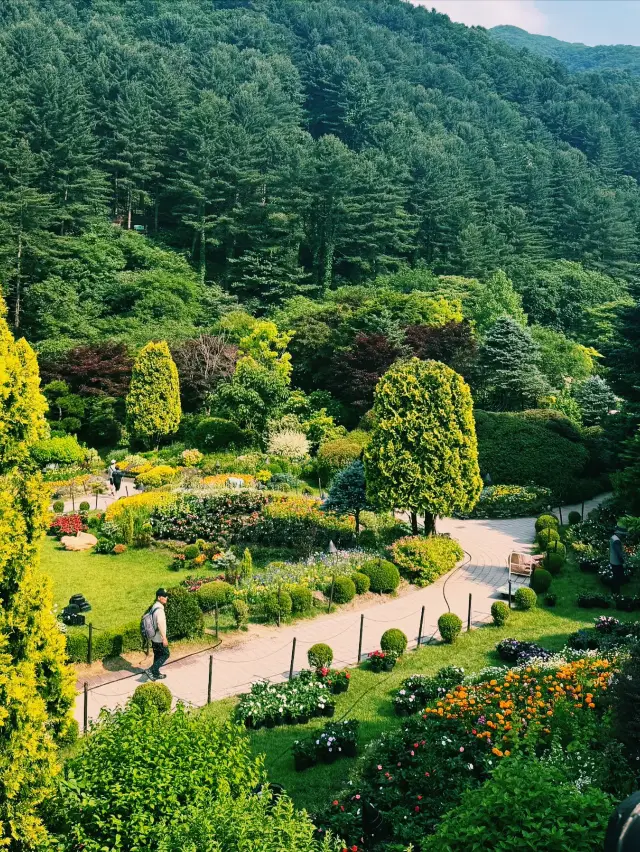 아침고요수목원을 거닐다