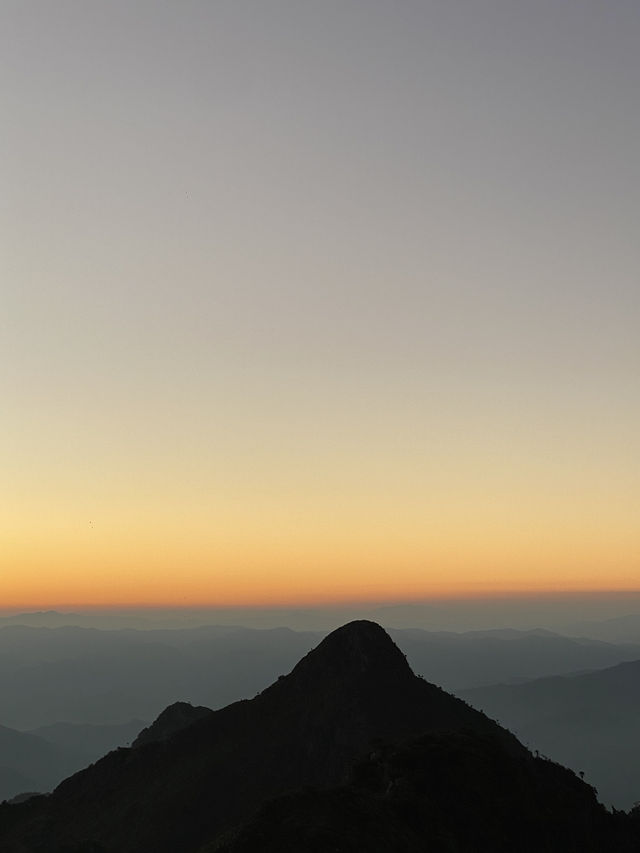 เดินป่า ศึกษาธรรมชาติ ดอยหลวงเชียงดาว ⛰️⭐️
