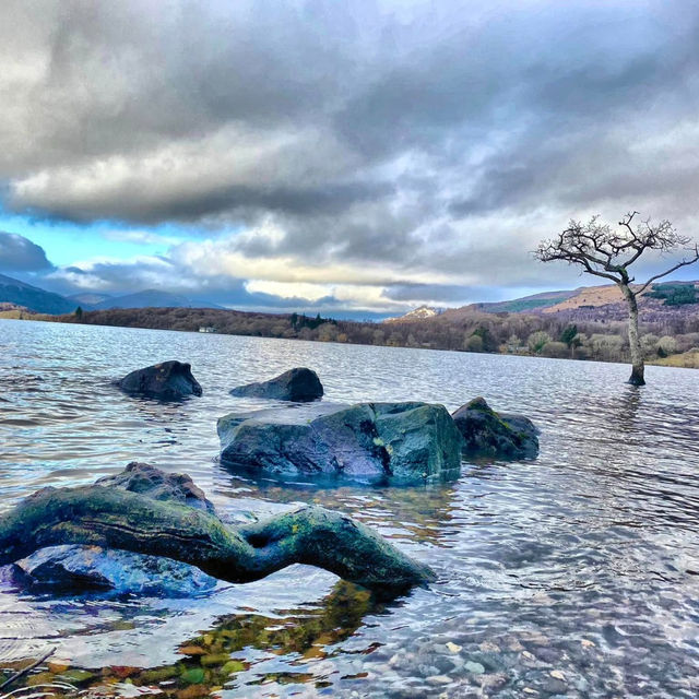 Reflections and Ripples: Magic at Milarrochy Bay