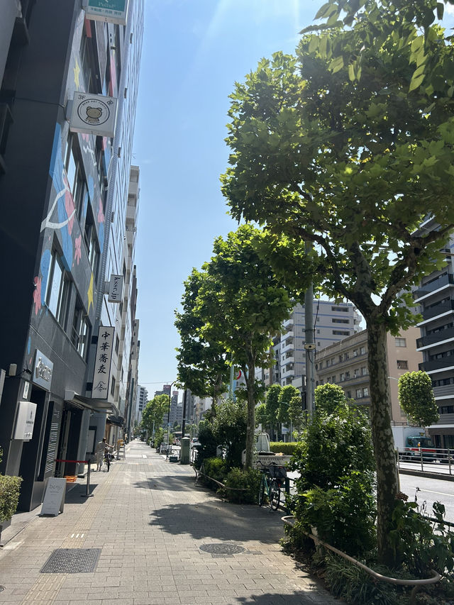 일본 12년 거주자가 추천하는 도쿄 3박 4일 알짜 여행기✨