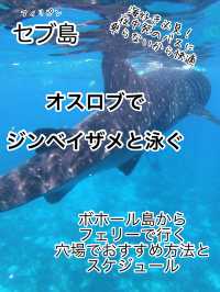 フェリーで行く ボホール島 発着ツアー