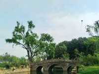 Gongqing Forest Park: Shanghai's Wild Heart