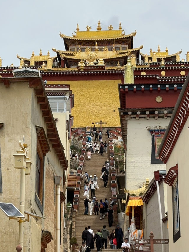 🌟【香格里拉夢幻之旅｜藏服聖地巡禮&秘境探索】✨