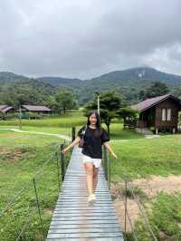 📍ที่พักเชียงใหม่ สงบ วิวทุ่งนาเขียวขจี สวยม๊าก 👍