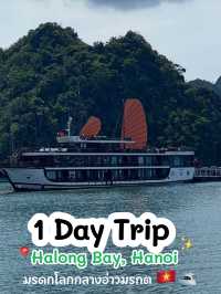 Halong Bay – มรดกโลกกลางอ่าวมรกต 🇻🇳🛥️