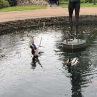 Dreamy Nature in Royal Botanic Gardens (Edinburgh)