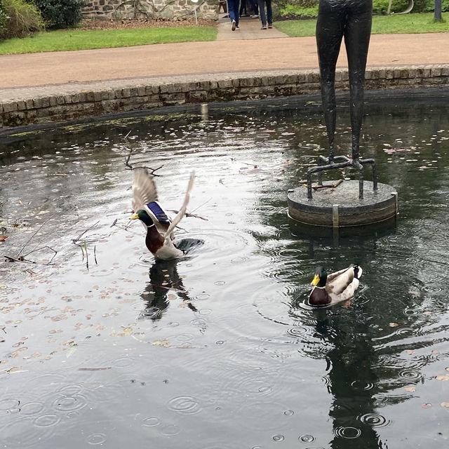 Dreamy Nature in Royal Botanic Gardens (Edinburgh)