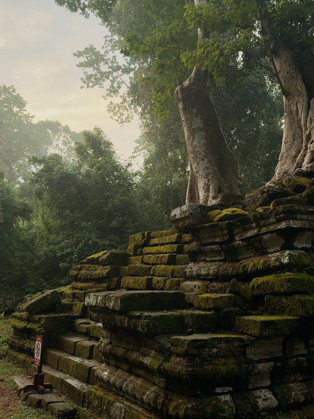 "When life hurts, Siem Reap heals."