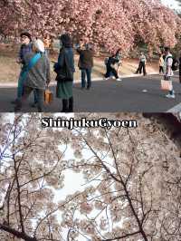 ShinjukuGyoen 