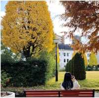 나고야, 3박 4일 끝장내는 여행코스