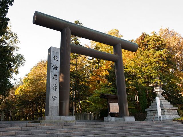 Hokkaido Shrine & Maruyama Park – The Spiritual Heart of Sapporo 🍁⛩️🌸