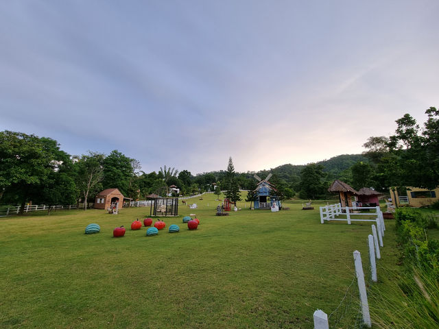 🦙 Alpaca Hill Suan Phueng: A Fluffy Wonderland 🦙 Alpaca Hill Suan Phueng: A Fluffy Wonderland