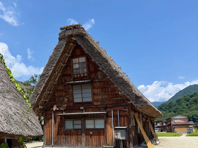 Shirakawa-Go ซัมเมอร์ เขียวๆฟ้าๆ 🇯🇵🌿✨