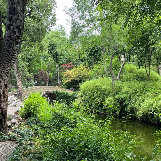 🌿 Humble Administrator’s Garden — The Crown Jewel of Suzhou Gardens 🌿 Humble Administrator’s Garden — The Crown Jewel of Suzhou Gardens